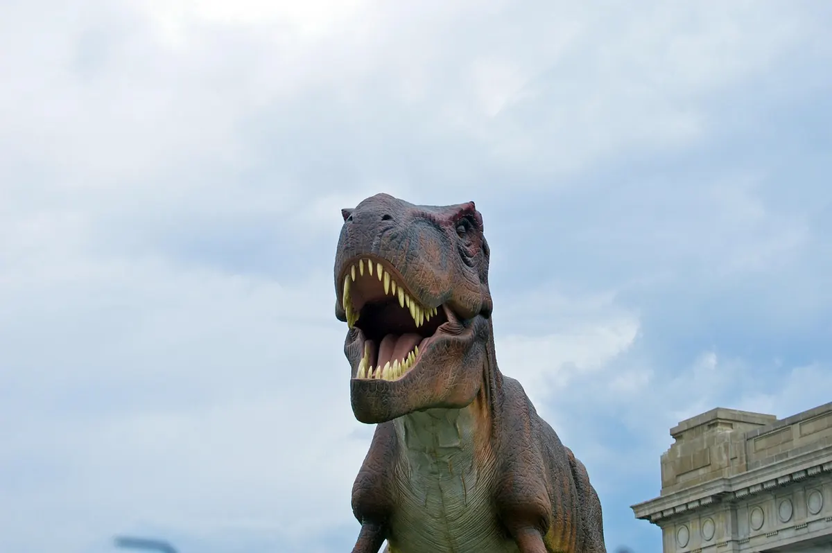 Arizona Museum of Natural History: Tickets, Opening Times and What to See