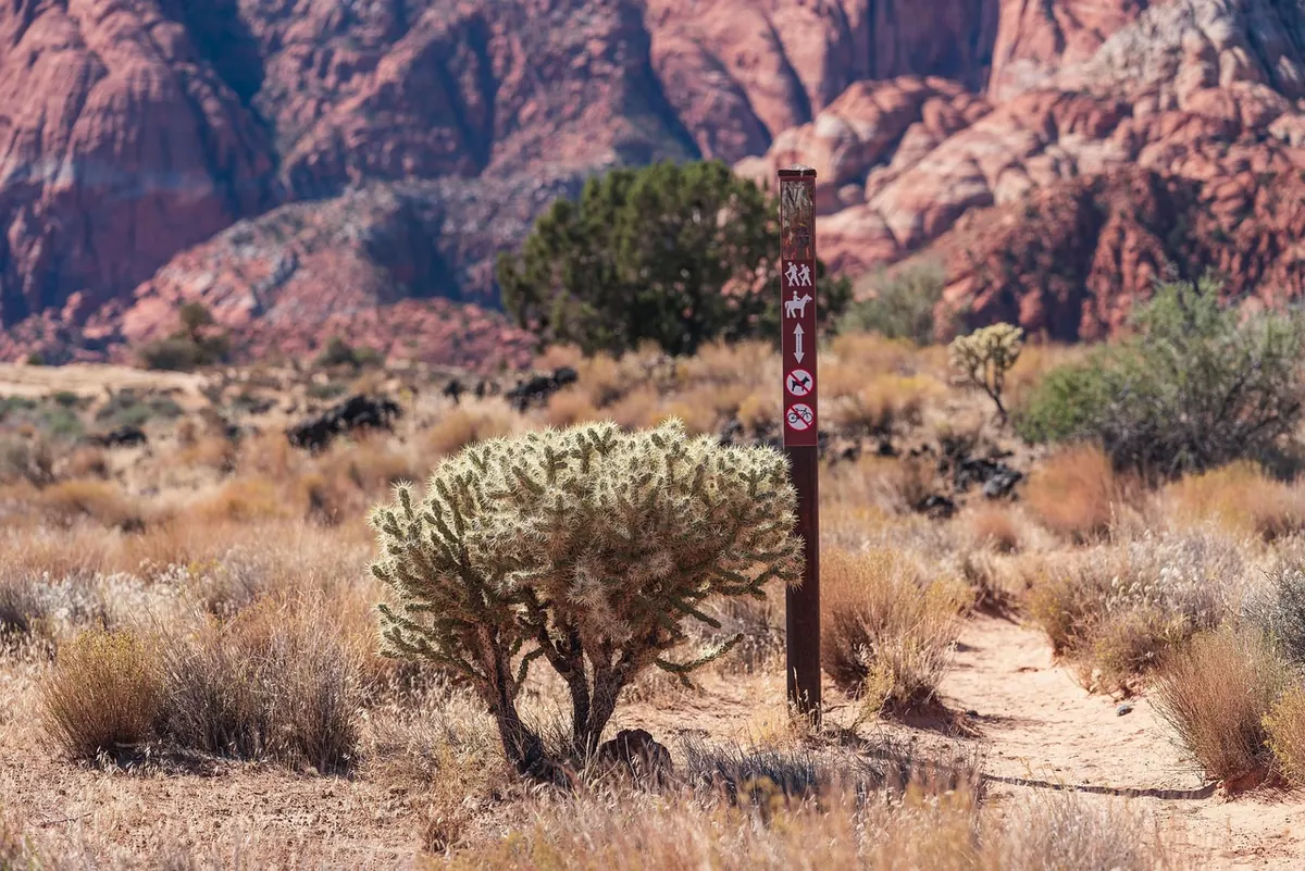 Mesa's Outdoor Spaces: A Seasonal Checklist for Hikers and Cyclists